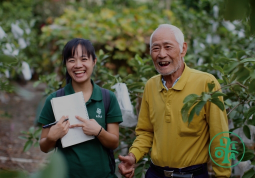 芭樂泰斗